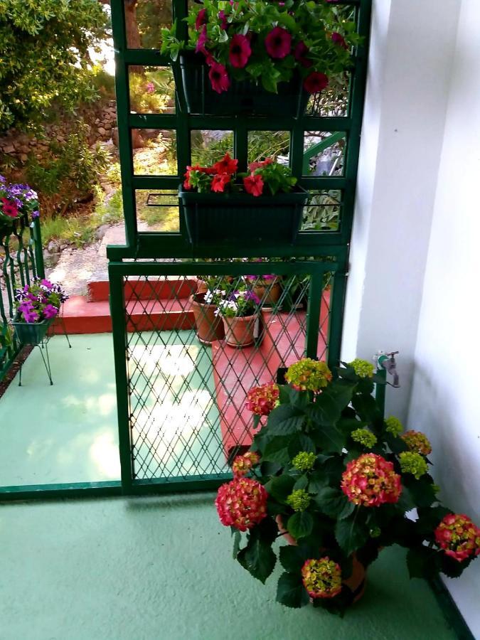 Apartman Kristin Podaca Luaran gambar