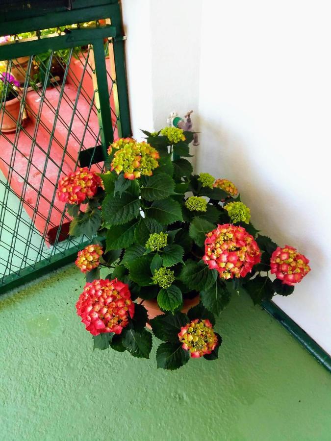 Apartman Kristin Podaca Luaran gambar
